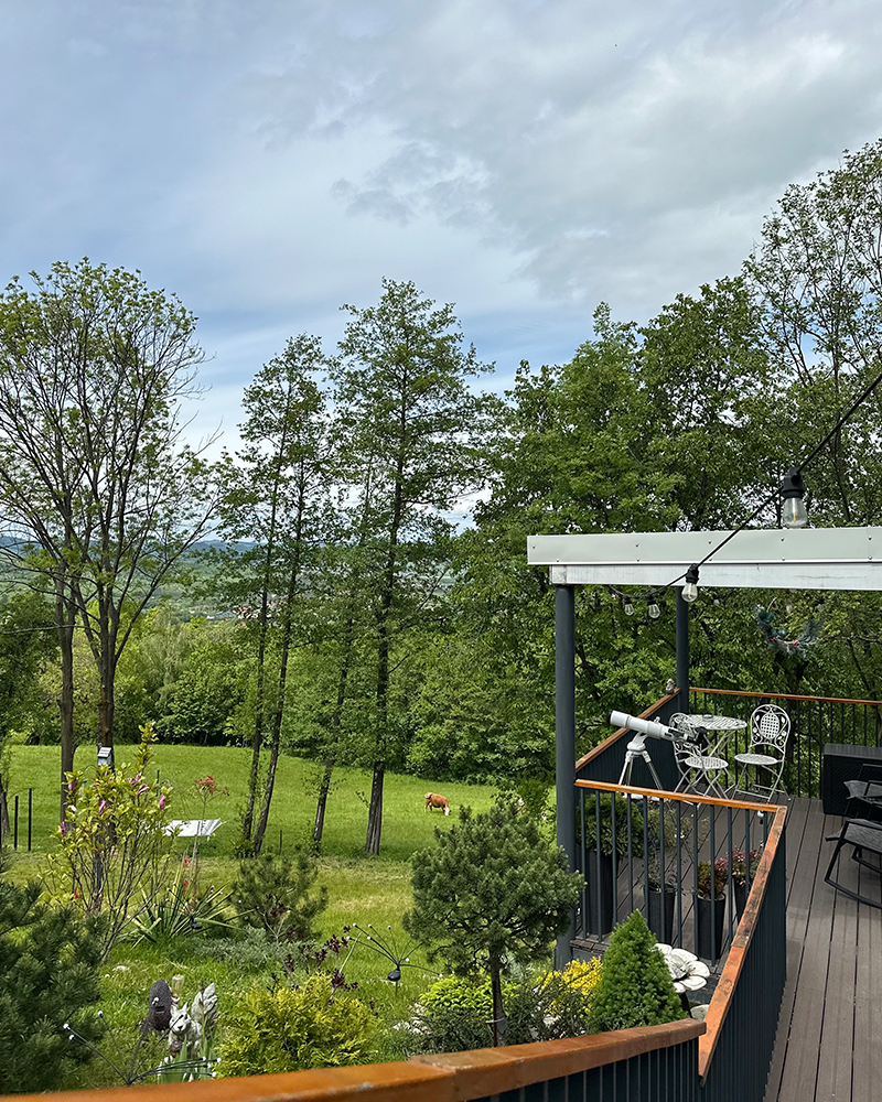 Cabana Verde - Fațadă